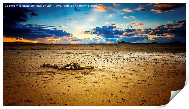  Remnants on the Beach at Sunset Print by matthew  mallett
