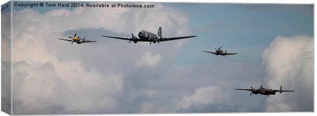 A Formidable Formation Canvas Print by Tom Hard