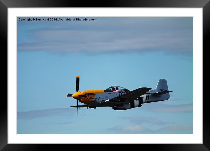  P51 Mustang Framed Mounted Print by Tom Hard