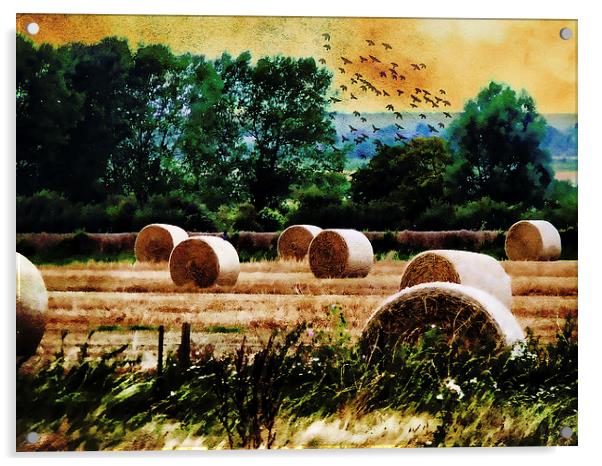  Harvest Acrylic by Kim Slater