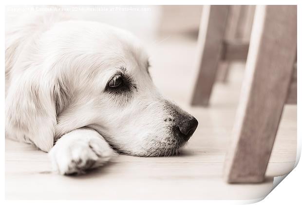  Waiting by the Dinner Table.... Print by Corrine Weaver