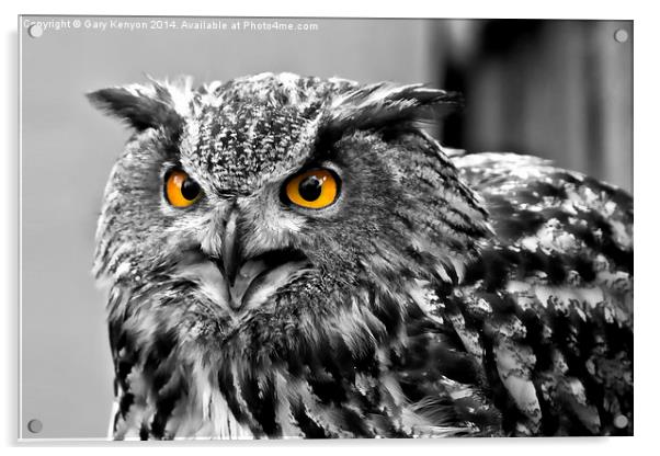 Eagle Owl Acrylic by Gary Kenyon