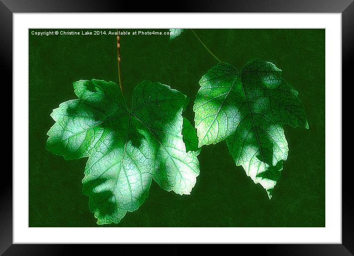  Leaves in Shadow Framed Mounted Print by Christine Lake