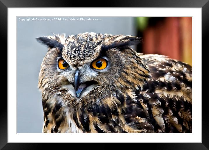  Eagle Owl Framed Mounted Print by Gary Kenyon