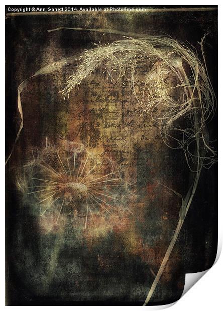 Seeds and Textures Print by Ann Garrett