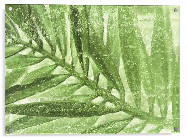 fern in stone  Acrylic by Heather Newton