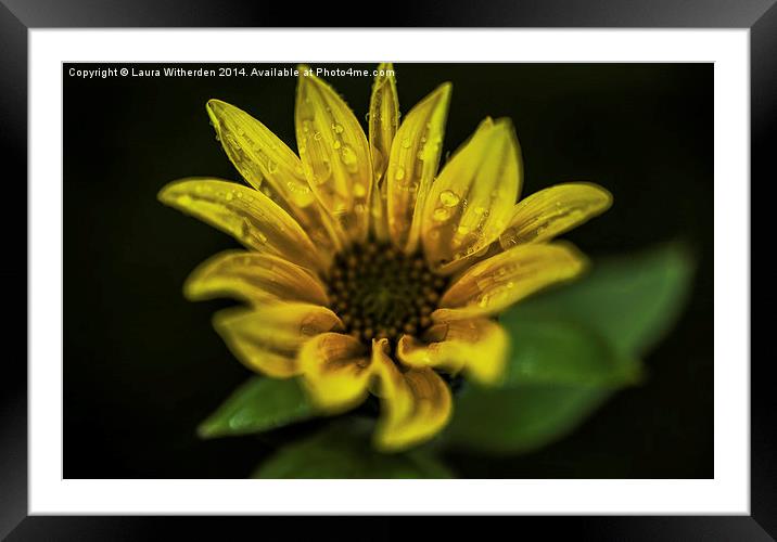 Light in the Dark  Framed Mounted Print by Laura Witherden