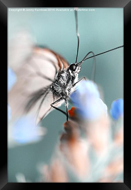 Butterfly Eyes. Nature in Alien Skin Framed Print by Jenny Rainbow