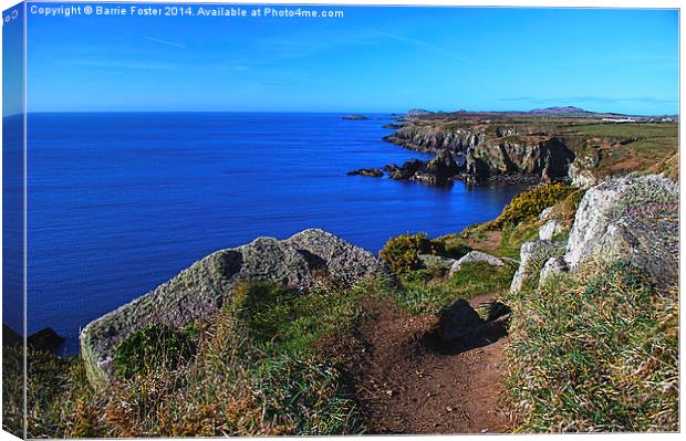  The Wales Coast Path above St Non's Bay Canvas Print by Barrie Foster