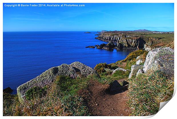  The Wales Coast Path above St Non's Bay Print by Barrie Foster