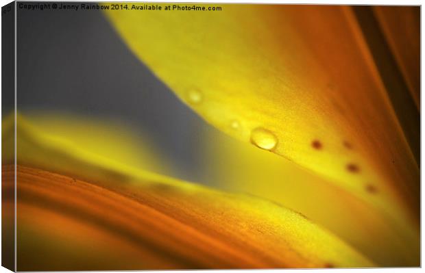  Enlightenment. Lily Macro  Canvas Print by Jenny Rainbow