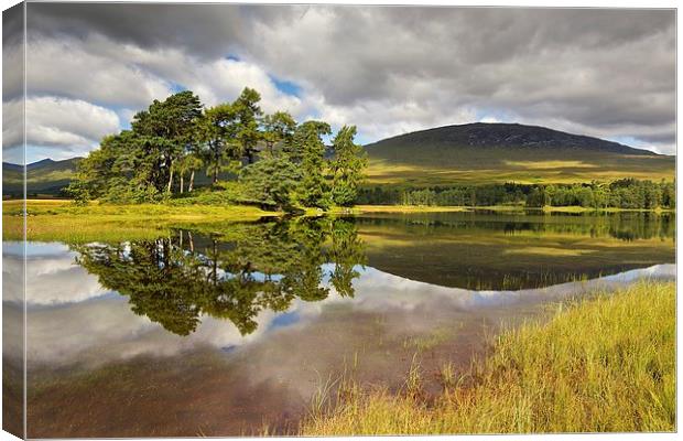 Loch Tulla reflections Canvas Print by Stephen Taylor