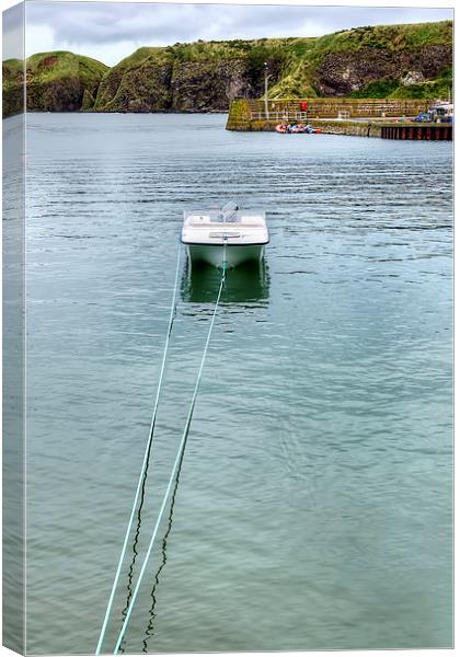 Single Boat on Stonehaven Harbour Canvas Print by Valerie Paterson