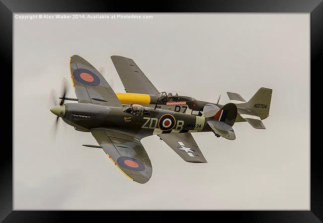 Spitfire and Mustang Framed Print by Alec Walker