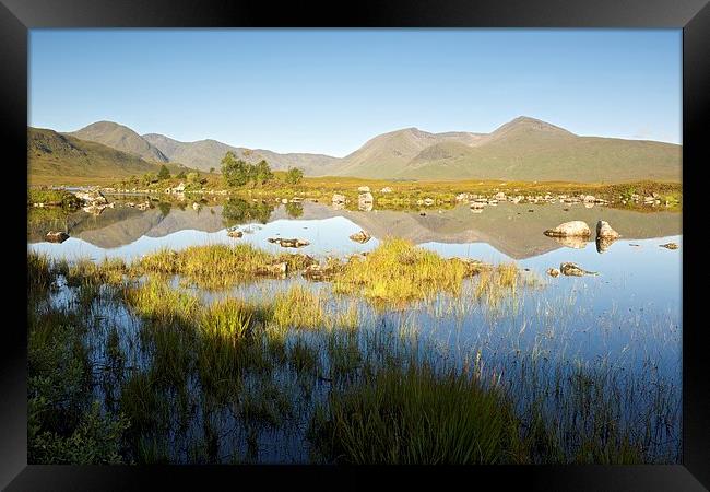  Summer at Lochan na h-Achlaise Framed Print by Stephen Taylor