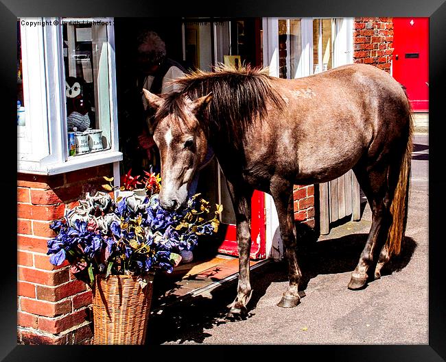 Ponies Say It With Flowers  Framed Print by Judith Lightfoot