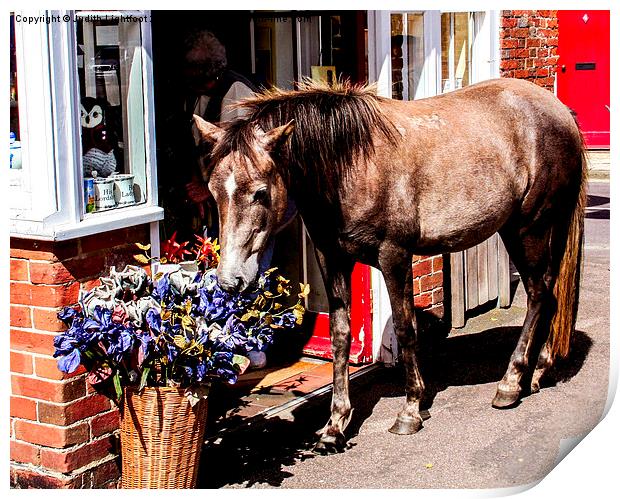 Ponies Say It With Flowers  Print by Judith Lightfoot
