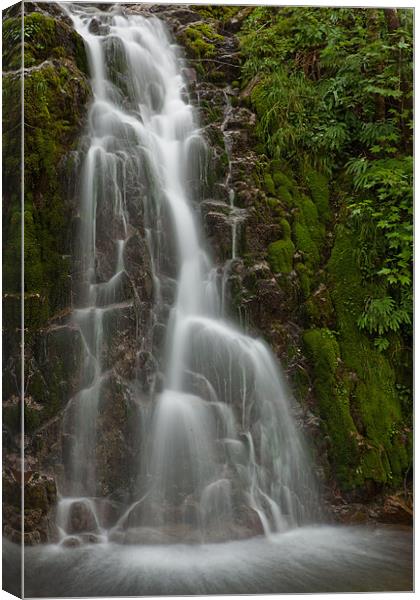 Vancouver island waterfall Canvas Print by Thomas Schaeffer