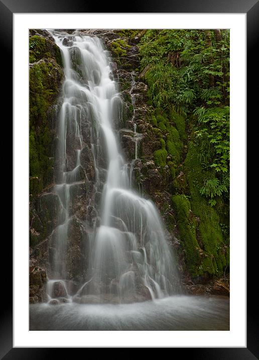 Vancouver island waterfall Framed Mounted Print by Thomas Schaeffer
