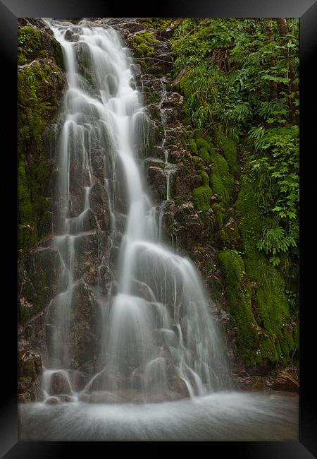 Vancouver island waterfall Framed Print by Thomas Schaeffer