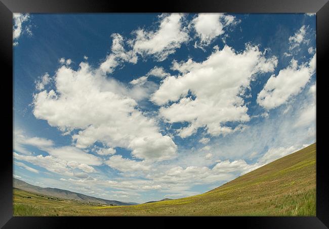 Montana Landscape Framed Print by Michelle Ellis