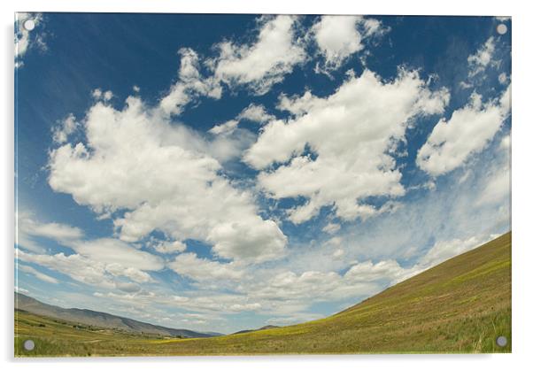 Montana Landscape Acrylic by Michelle Ellis