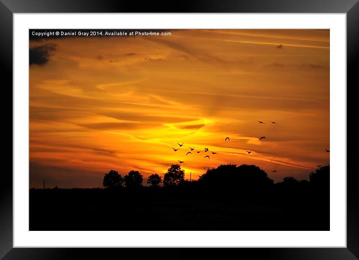  Silhouette Sunset  Framed Mounted Print by Daniel Gray