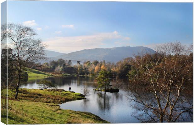  Tarn Hows. Canvas Print by Irene Burdell
