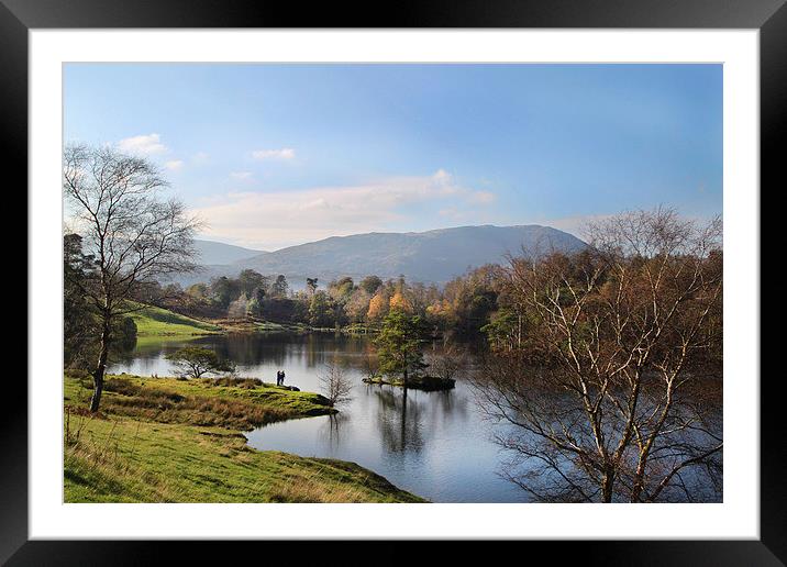  Tarn Hows. Framed Mounted Print by Irene Burdell