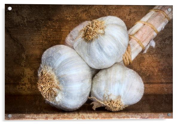  Garlic Bulbs Acrylic by David Hare