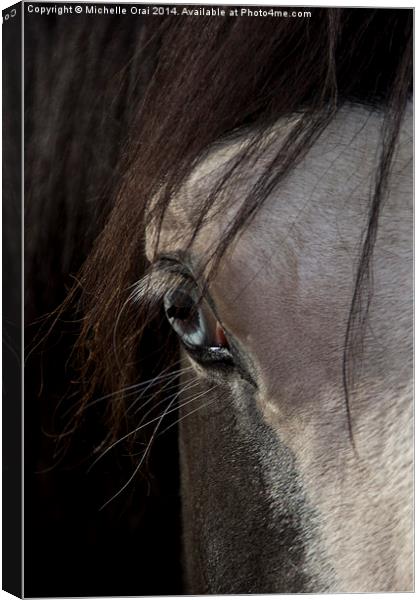  Blue eyed horse Canvas Print by Michelle Orai