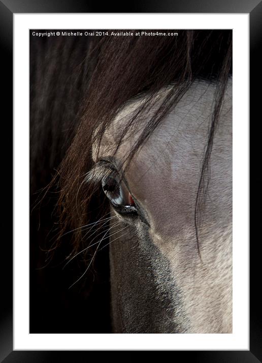  Blue eyed horse Framed Mounted Print by Michelle Orai