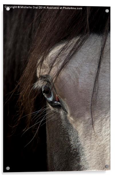  Blue eyed horse Acrylic by Michelle Orai