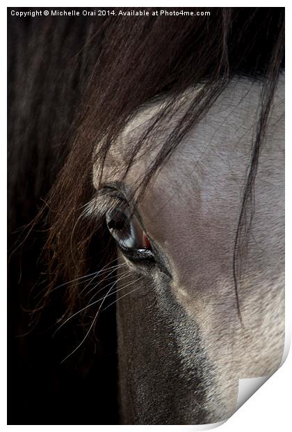  Blue eyed horse Print by Michelle Orai