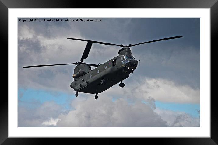  The Chinook Framed Mounted Print by Tom Hard