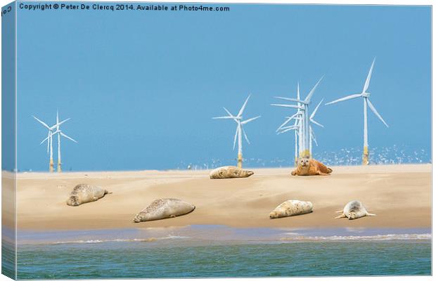  Seals at scroby sands Canvas Print by Peter De Clercq