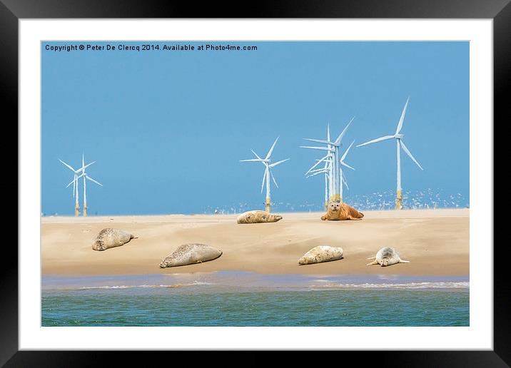  Seals at scroby sands Framed Mounted Print by Peter De Clercq