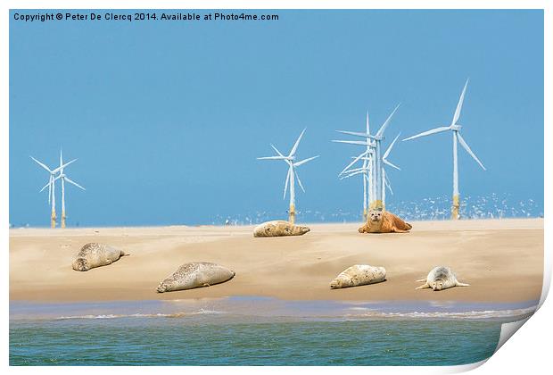  Seals at scroby sands Print by Peter De Clercq