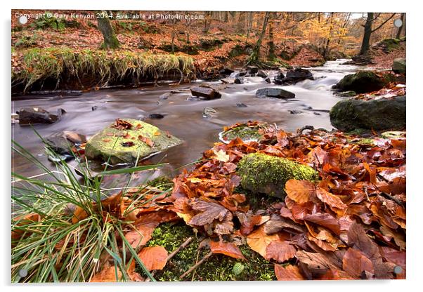  Roddlesworth Woods Stream In Autumn Acrylic by Gary Kenyon