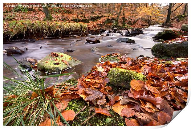  Roddlesworth Woods Stream In Autumn Print by Gary Kenyon