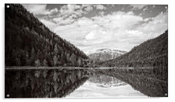 Lake View Acrylic by richard downes