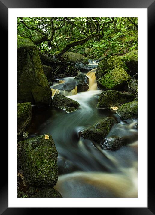 Padley Gorge 1 Framed Mounted Print by Angie Morton