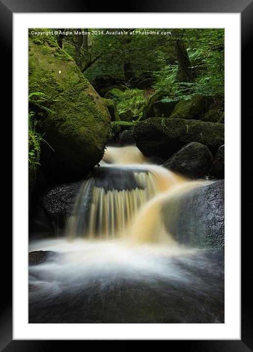 Padley Gorge 2 Framed Mounted Print by Angie Morton