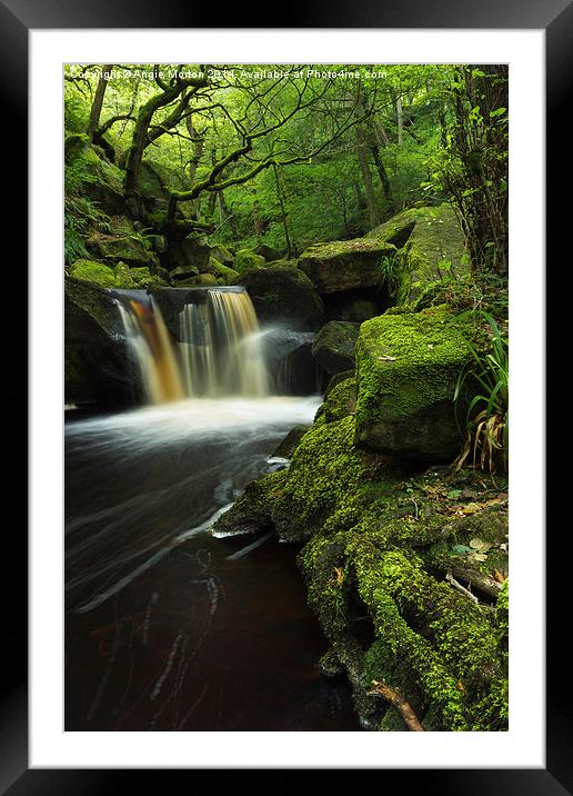 Padley Gorge 3 Framed Mounted Print by Angie Morton