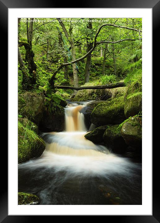 Padley Gorge 4 Framed Mounted Print by Angie Morton
