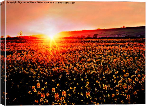  Rapeseed Flowers at Sunset Canvas Print by Jason Williams