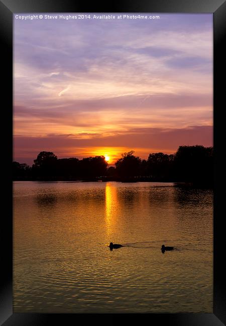  Bushy Park Sunset Framed Print by Steve Hughes