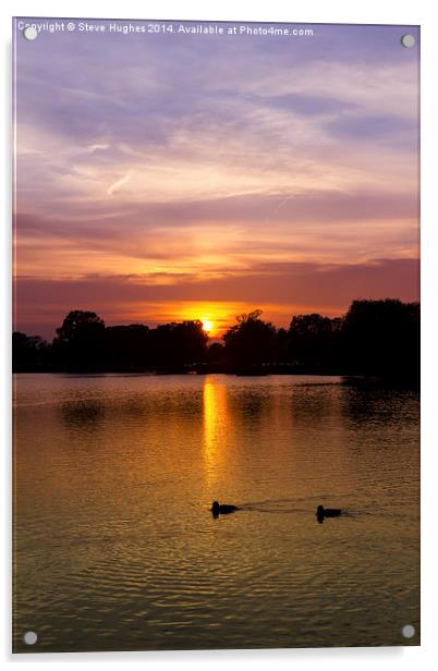  Bushy Park Sunset Acrylic by Steve Hughes