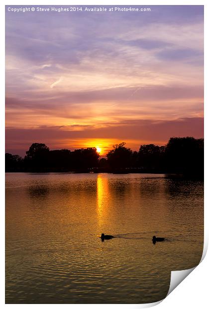  Bushy Park Sunset Print by Steve Hughes