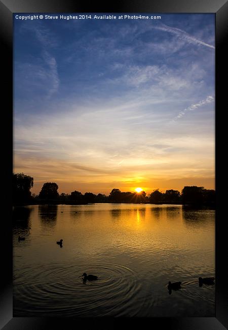  Bushy Park Sunset Framed Print by Steve Hughes